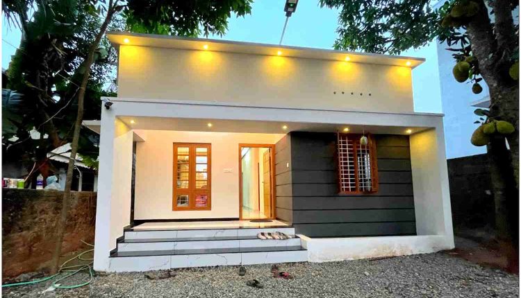 budget friendly modern home (2)