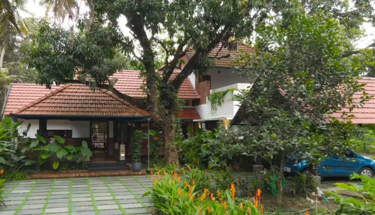 Traditional Dream House Among The Trees